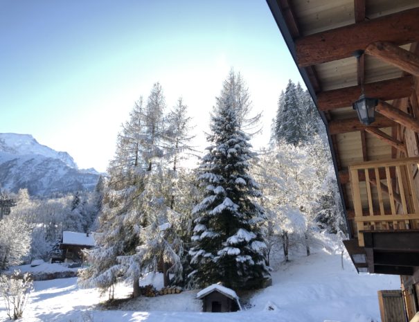 hiver sapin