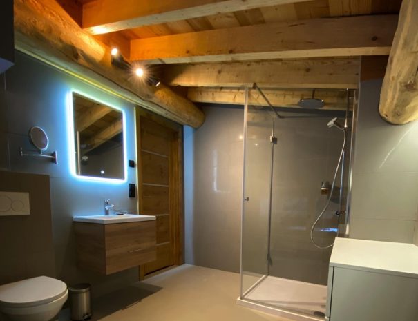salle de douche chambre familiale
